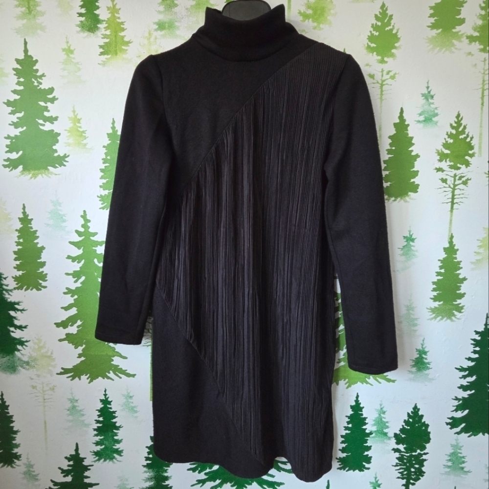 Zara Black Turtleneck Long Sleeve Dress.
